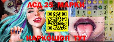 индика Партизанск