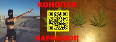 индика Партизанск
