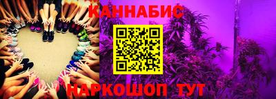 индика Партизанск