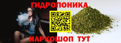 индика Партизанск