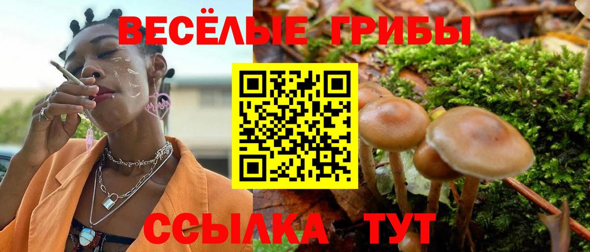 Галлюциногенные грибы мицелий Соликамск