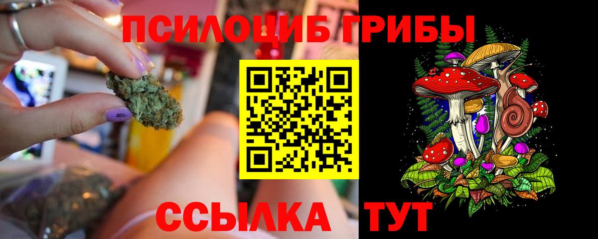 Соликамск  Псилоцибиновые грибы Psilocybine cubensis  Вход с VPN 
